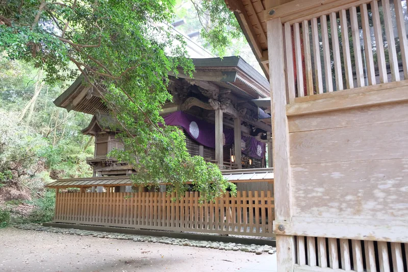 Main sanctuary of Takachiho Shrine, an Important Cultural Property, among the trees