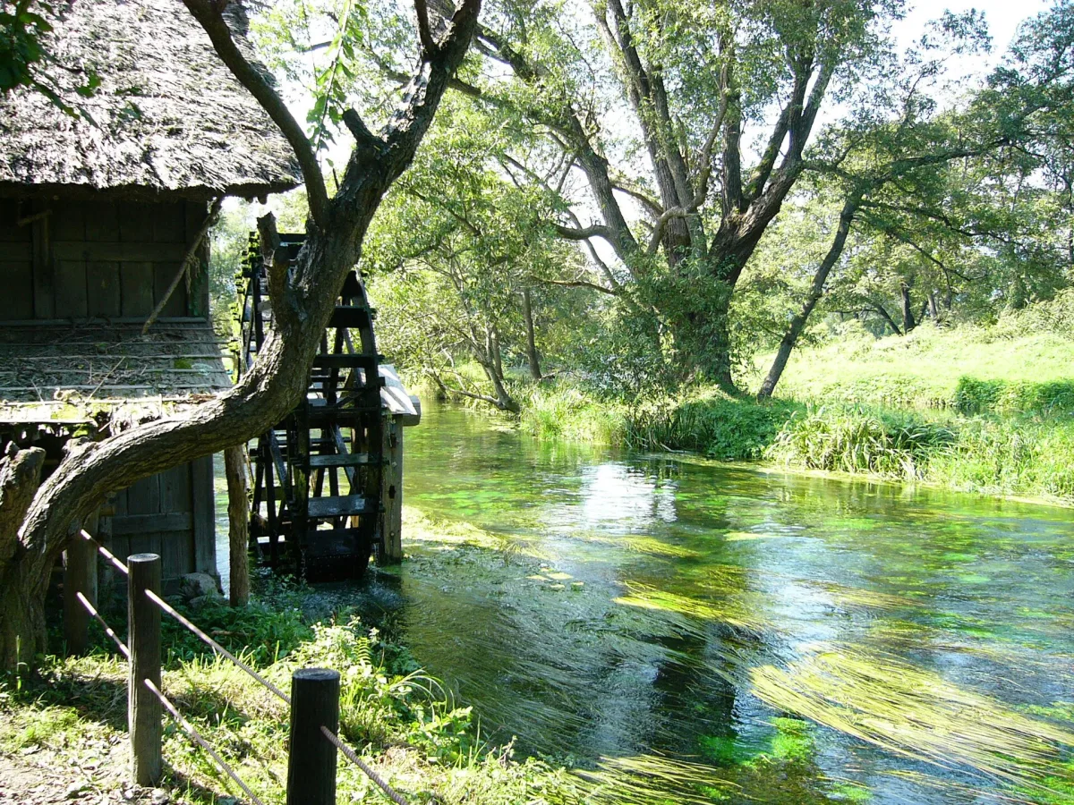 Old wooden water wheels turning beside the clear, green spring-fed river at Daio Wasabi Farm