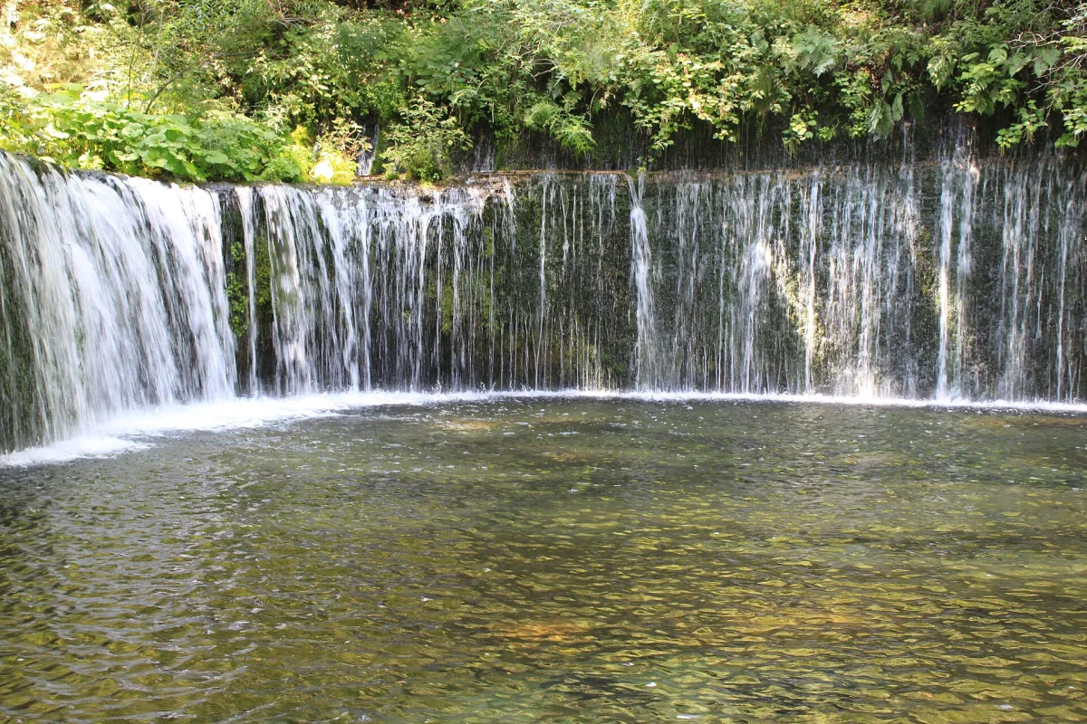 Shiraito Falls: countless thin streams of water falling from a curved, moss-covered rock wall into a pool