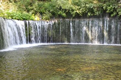 Shiraito Falls: countless thin streams of water falling from a curved, moss-covered rock wall into a pool