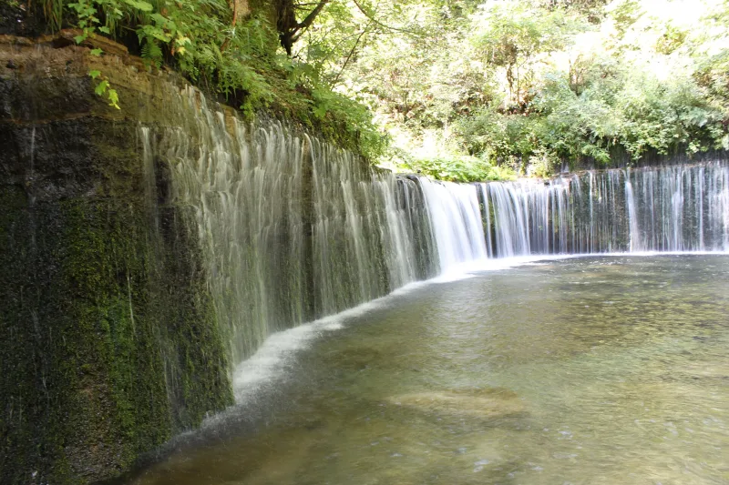 The curved wall of Shiraito Falls seen from the side, with streams pouring into a green pool