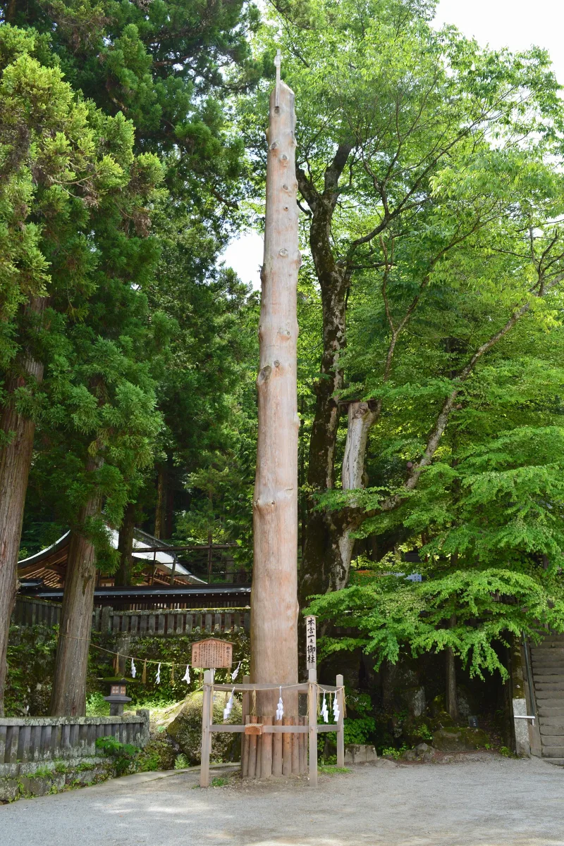 The first Onbashira, a huge fir log pillar standing among trees at Suwa Taisha Kamisha Honmiya