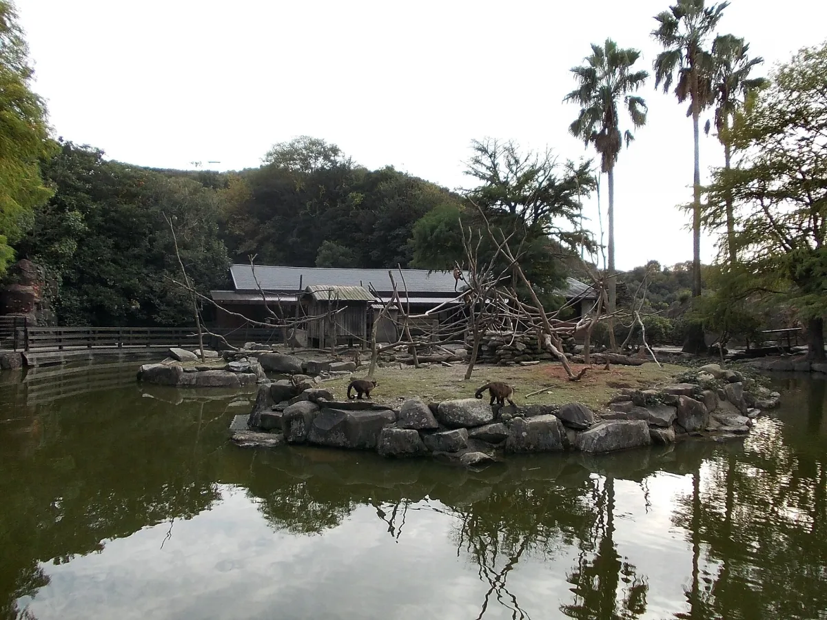Capybaras in a pond beside an islet with capuchin monkeys at Nagasaki Bio Park