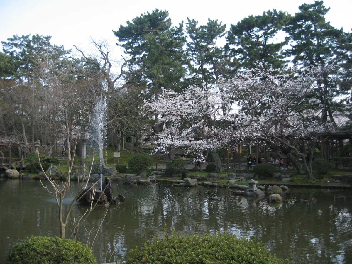 Cherry blossoms and a fountain at the gourd-shaped pond in Hakusan Park, Niigata