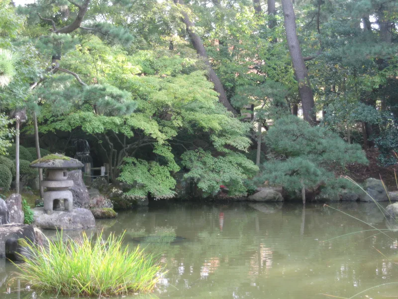 Pond with a stone lantern and pine trees in the garden of Hakusan Park