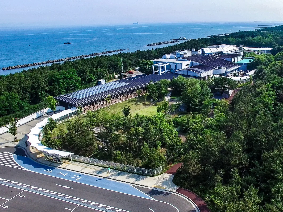 Aerial view of Marinepia Nihonkai aquarium among pine trees on the Niigata coast, with the Sea of Japan behind