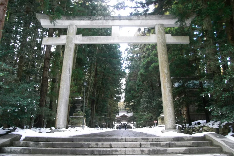 Wooden torii gate framed by tall cedar trees on the approach to Yahiko Shrine in winter