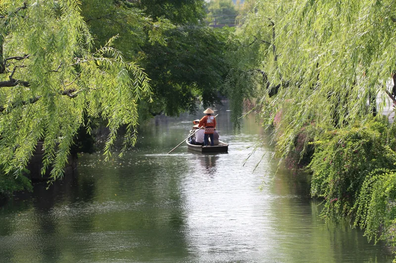 Boatman poling a small sightseeing boat along the willow-shaded Kurashiki River