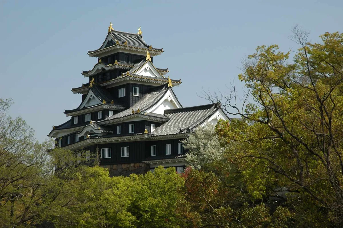 Black multi-tiered keep of Okayama Castle rising above green trees