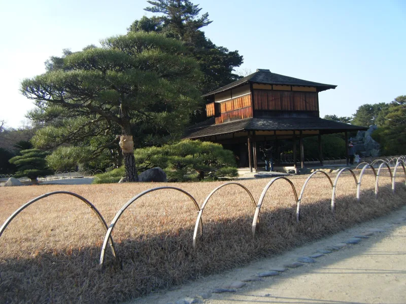 Traditional wooden pavilion among pine trees in Okayama Korakuen Garden