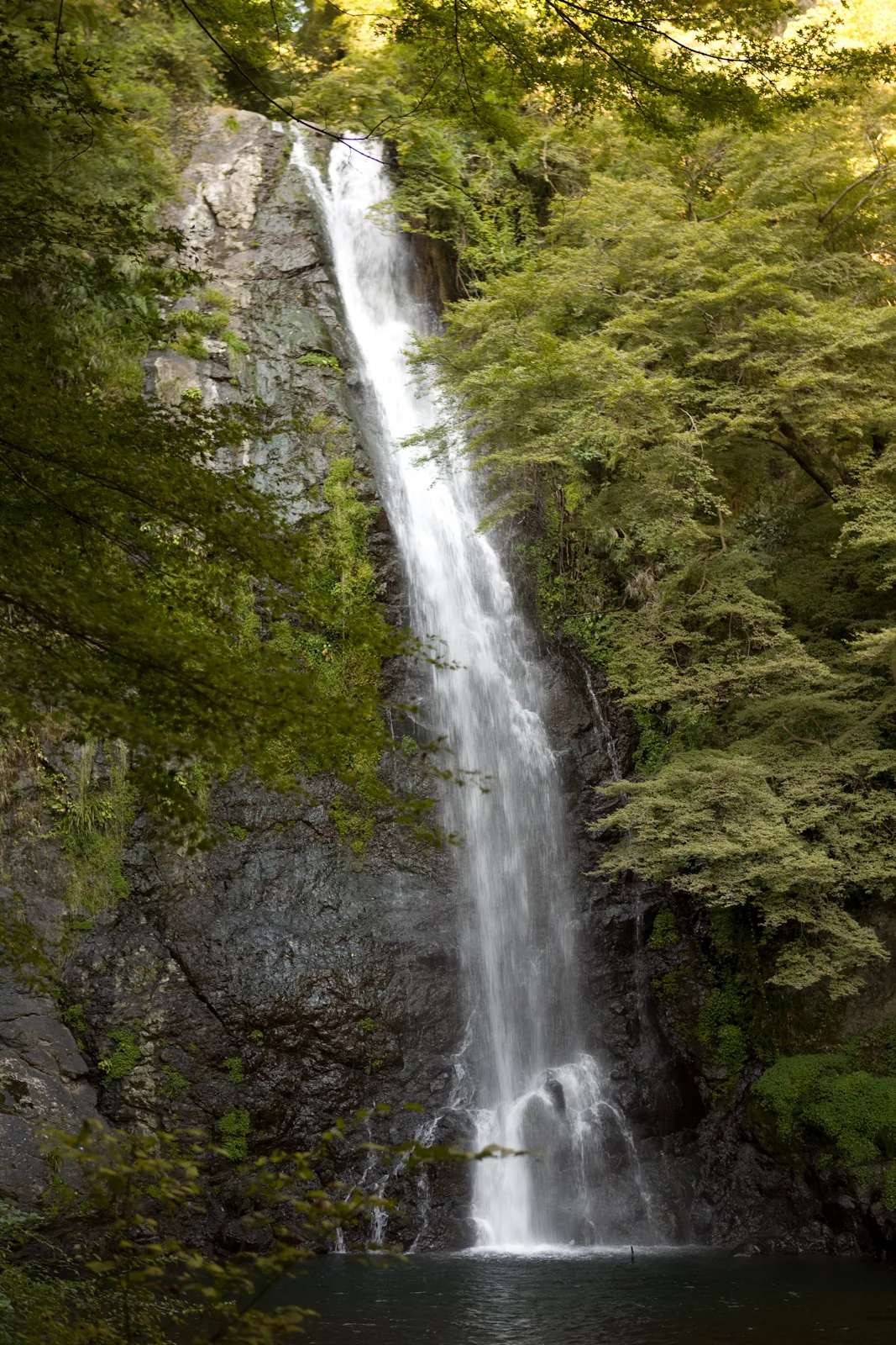 Minoh Falls surrounded by autumn foliage