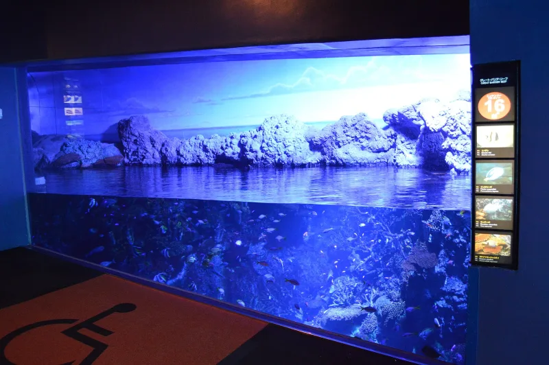 A long blue-lit coral reef tank inside Osaka Aquarium Kaiyukan