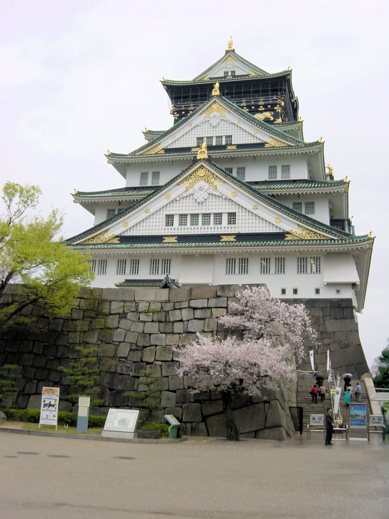 The white and green keep of Osaka Castle on its stone base, with cherry blossoms in bloom