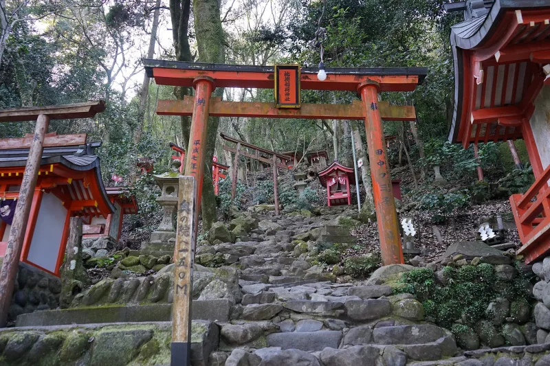 Stone steps climbing through the forest under a vermilion torii gate toward the Okunoin