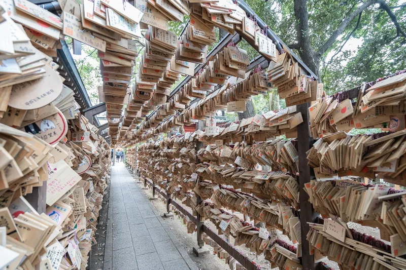 A tunnel lined with hundreds of wooden ema prayer plaques at Kawagoe Hikawa Shrine