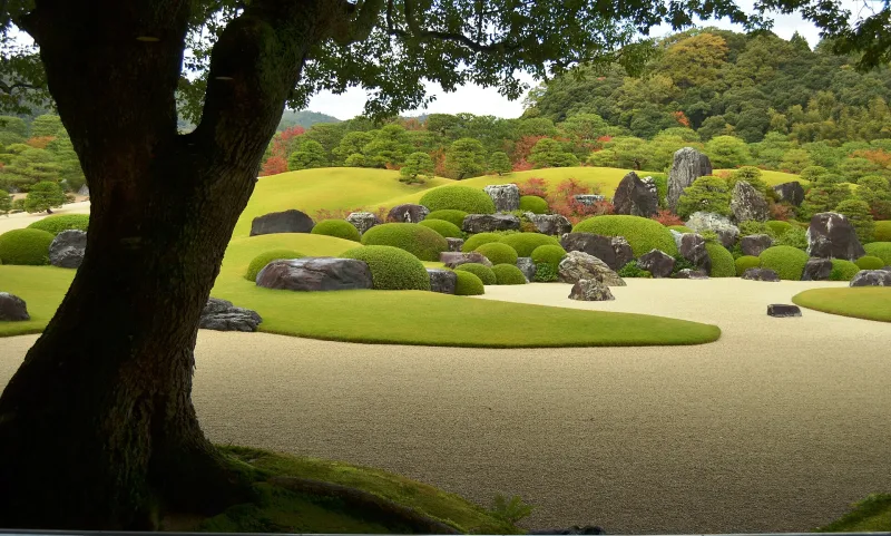 Adachi Museum of Art garden with lawns, rocks and trimmed pines seen under a large tree