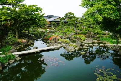 Pond with a stone bridge, pine trees and fresh green shrubs in Yuushien garden