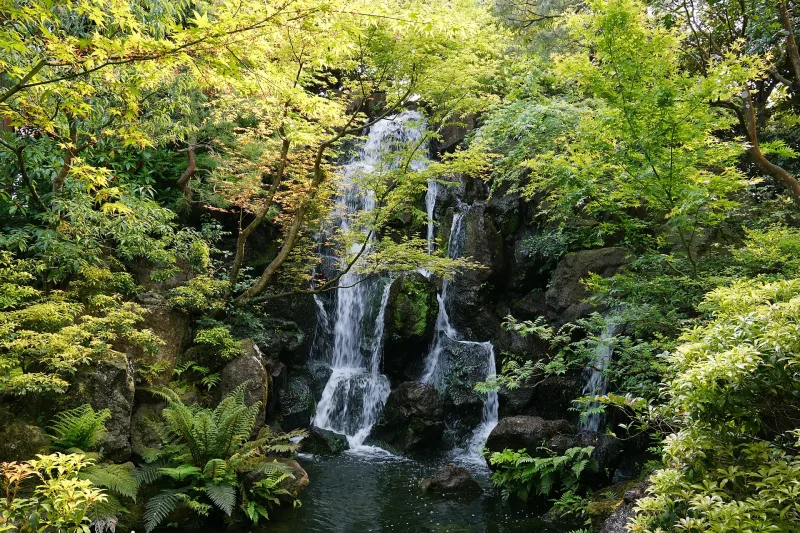 A waterfall tumbling into a pond among green maples at Yuushien