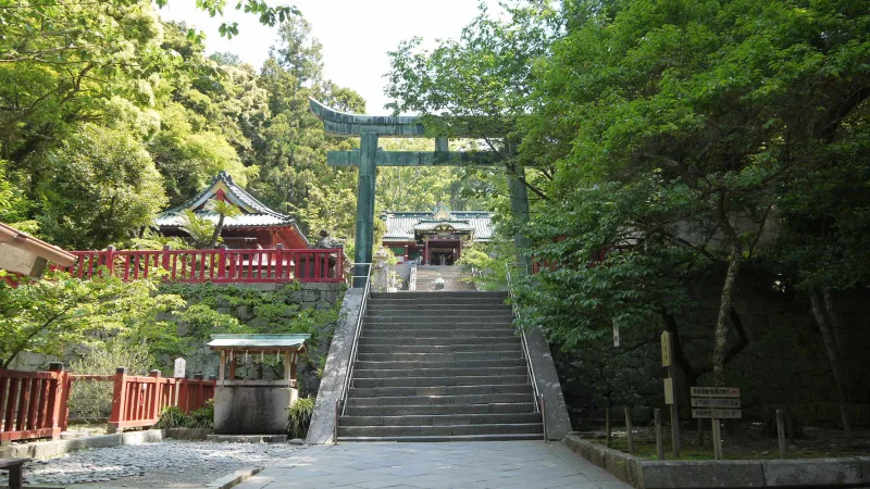 Stone steps climbing through trees toward a torii gate and red buildings at Kunozan Toshogu