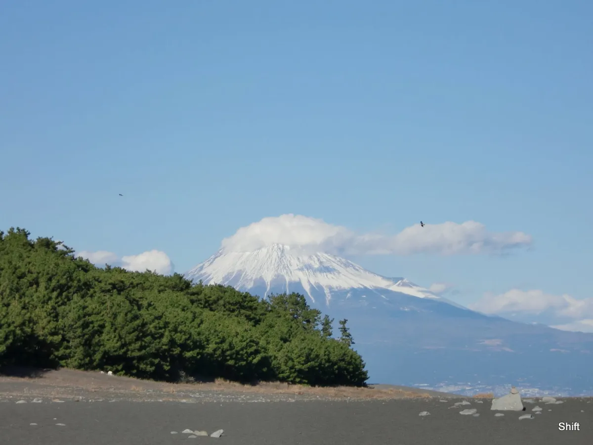 Snow-capped Mount Fuji rising behind the green pine forest of Miho no Matsubara beach