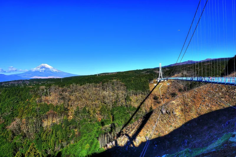 Mount Fuji seen across the valley beside the cables of the Mishima Skywalk
