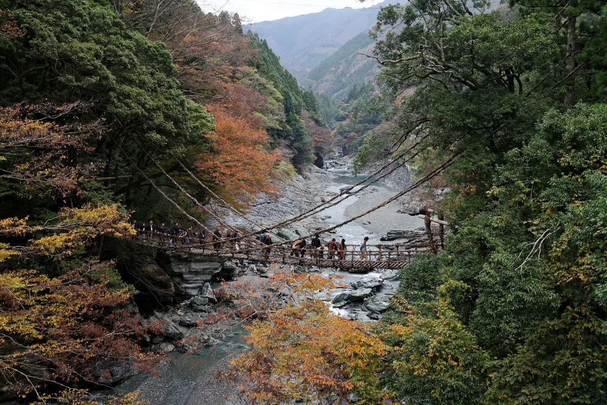 The Iya vine bridge spanning a rocky river gorge surrounded by autumn trees