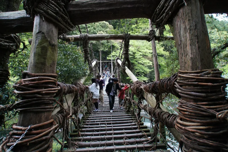 Walking deck of the Iya Kazurabashi with thick woven vine railings and wooden slats