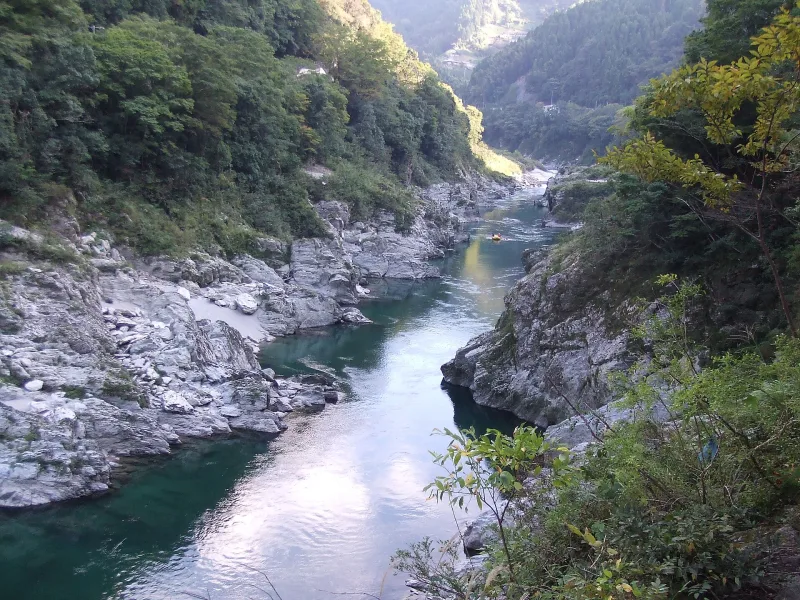 The Yoshino River winding through the rocky Oboke valley with forested hills