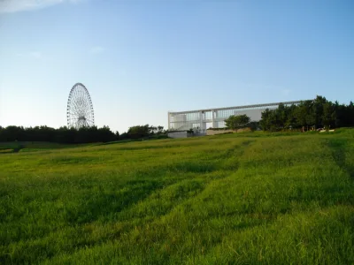 Wide lawn at Kasai Rinkai Park with the giant Ferris wheel and Crystal View building