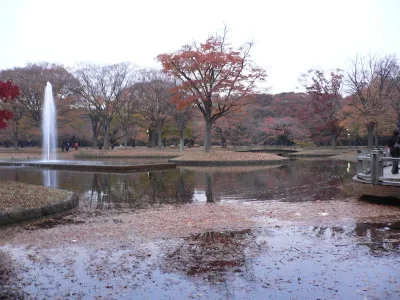 Fountain pond in Yoyogi Park surrounded by trees in autumn colours