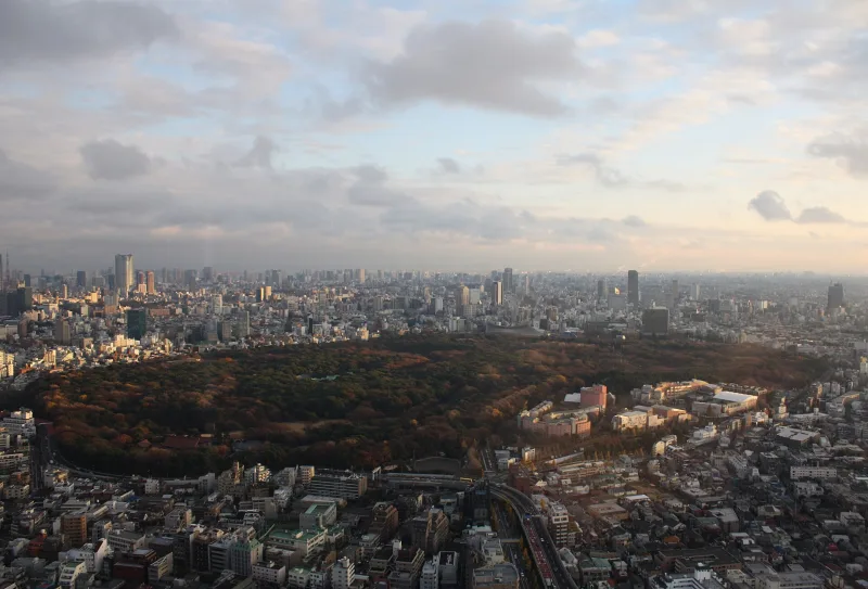 Aerial view of the forest of Yoyogi Park and Meiji Shrine among Tokyo buildings