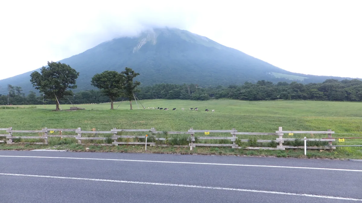 Mount Daisen rising behind the green pasture of Daisen Makiba Milk no Sato