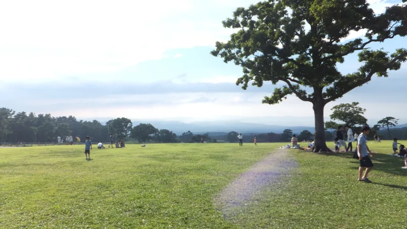 Visitors on the wide lawn of the Milk no Sato ranch beside a large tree