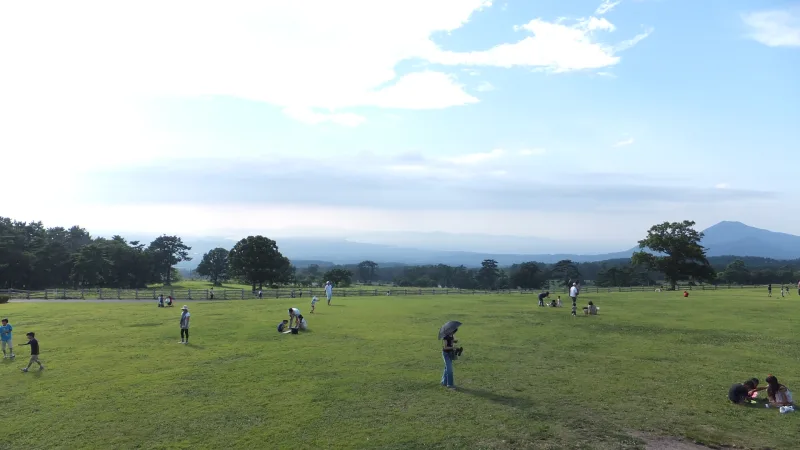 Open grassy pasture at Milk no Sato with distant mountains under a pale blue sky