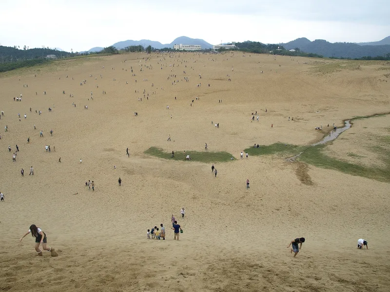 Wide view over the sand dunes with small figures of visitors and green patches of vegetation
