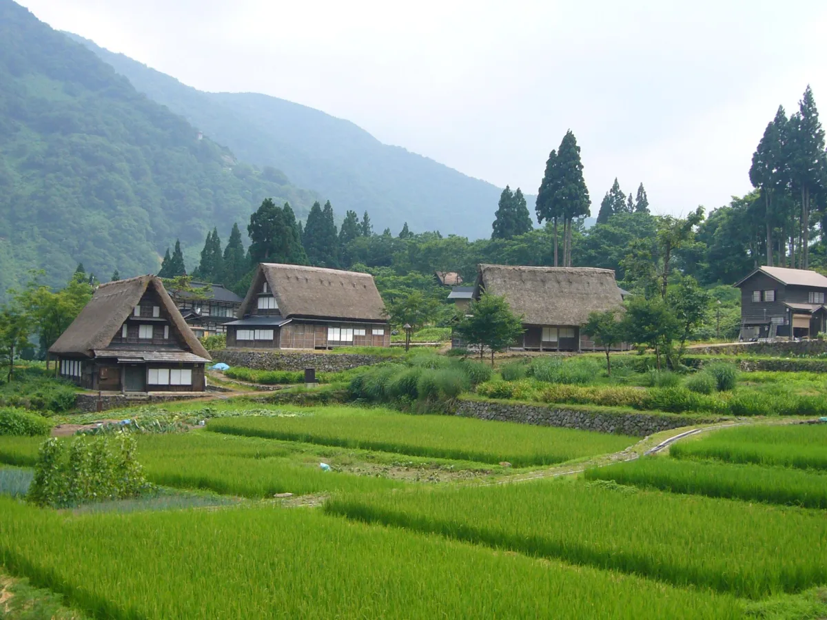 Thatched gassho-style houses and rice fields in Ainokura village, Gokayama