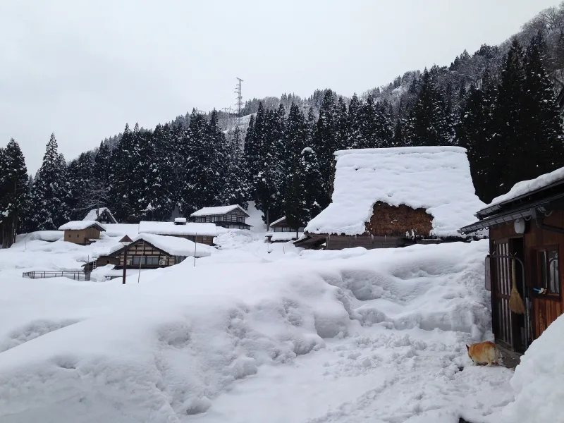 Thatched Sonenji temple in snowy Ainokura seen from Jinushi Shrine