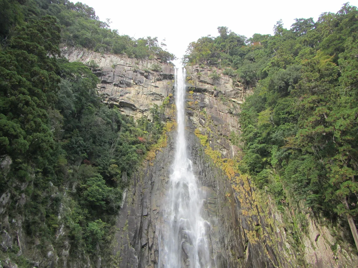 Nachi Falls dropping in a single white ribbon down a dark cliff between green forest