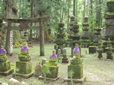 Moss-covered stone pagoda graves under tall cedar trees in the Okunoin cemetery on Mount Koya