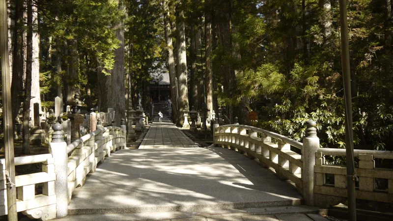 A stone bridge on the cedar-lined approach path of Okunoin