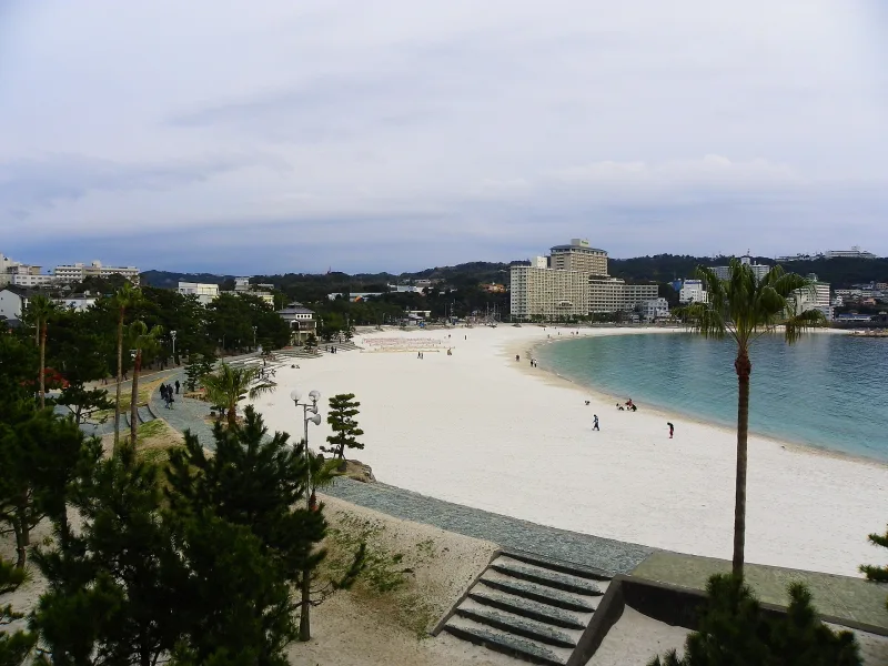 Shirarahama Beach seen from above with palm trees along the promenade