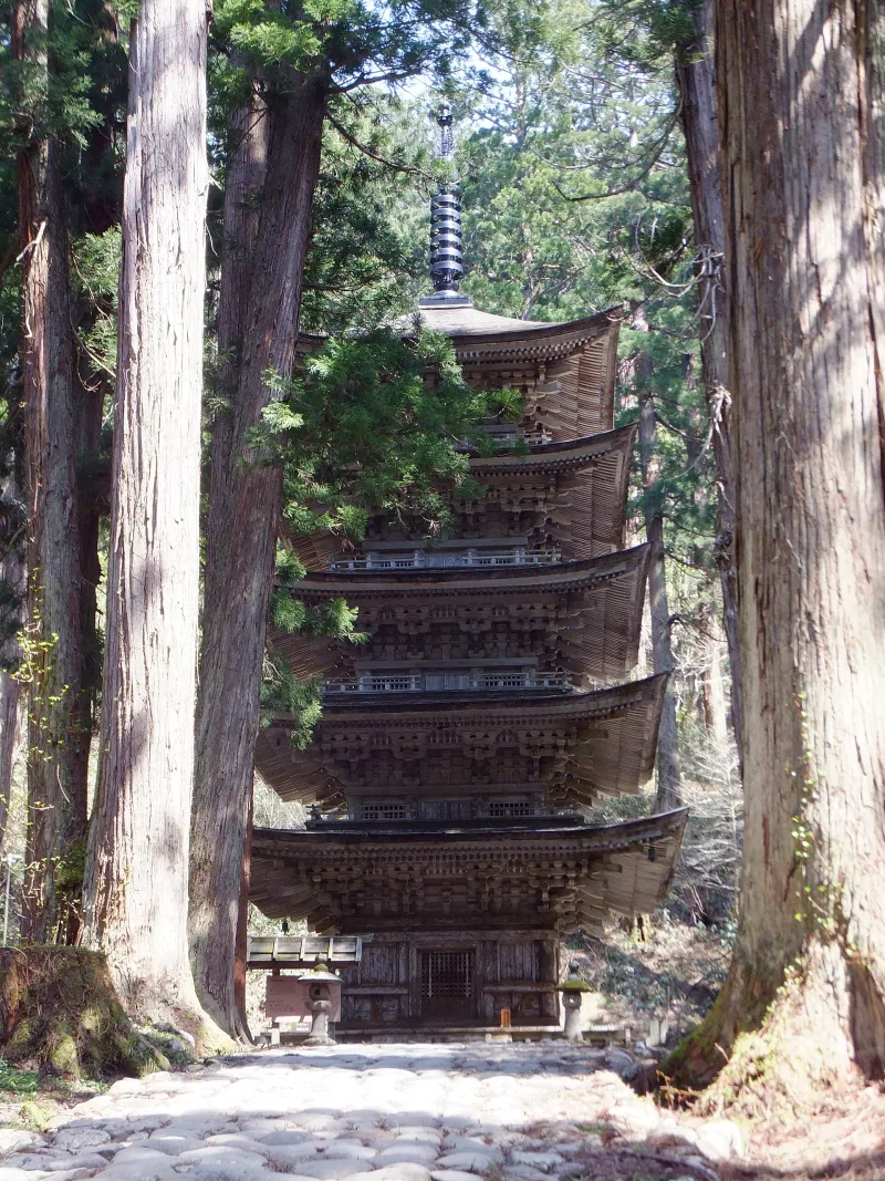The wooden five-storied pagoda of Mount Haguro standing among giant cedar trees