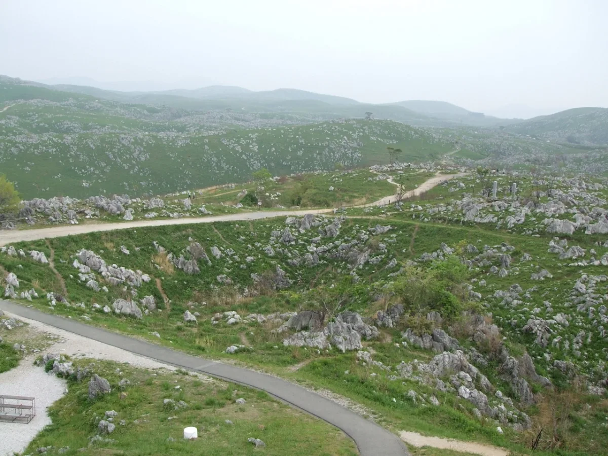 Green grassland dotted with white limestone pinnacles on the Akiyoshidai karst plateau