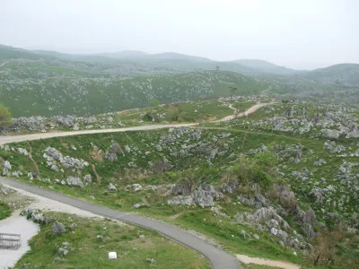 Green grassland dotted with white limestone pinnacles on the Akiyoshidai karst plateau