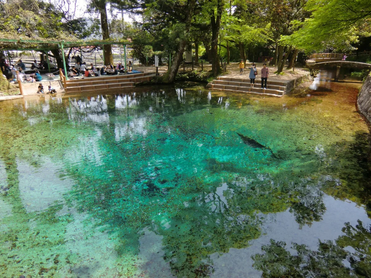 Turquoise spring water of Beppu Benten Pond, clear to the bottom, with trees around