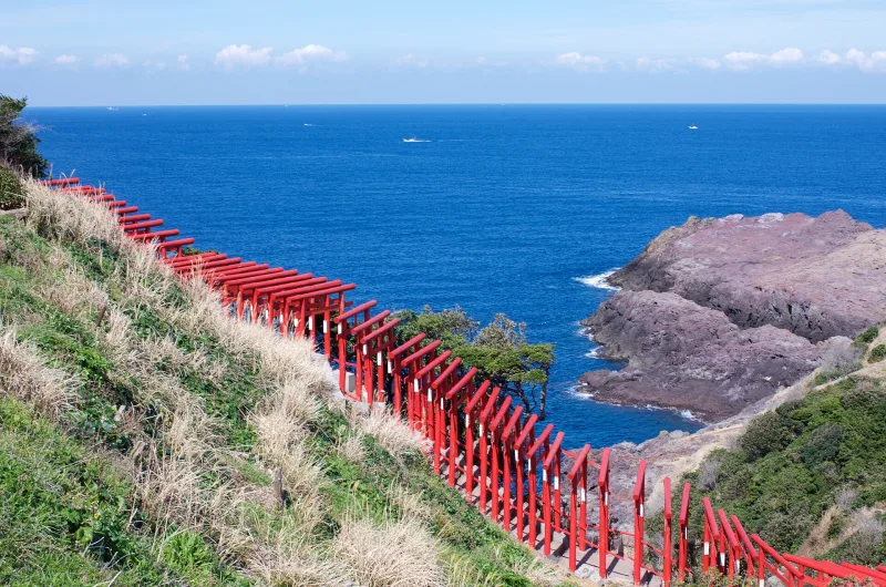 Red torii gates running along a grassy slope above rocky coast and blue sea